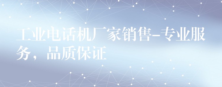 工業(yè)電話機廠家銷售-專業(yè)服務(wù)，品質(zhì)保證