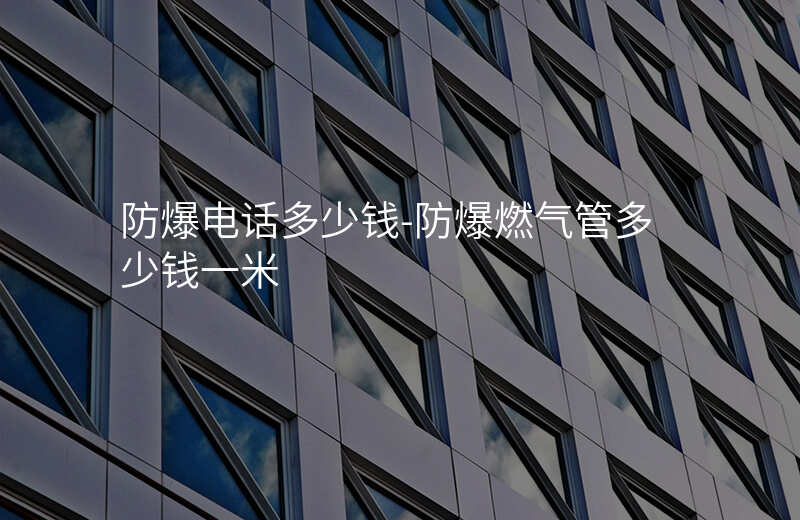 防爆電話多少錢-防爆燃氣管多少錢一米